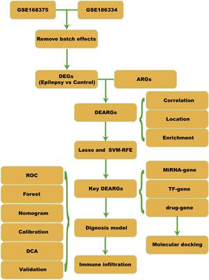 Identification of hub genes significantly linked to temporal lobe epilepsy and apoptosis via bioinformatics analysis